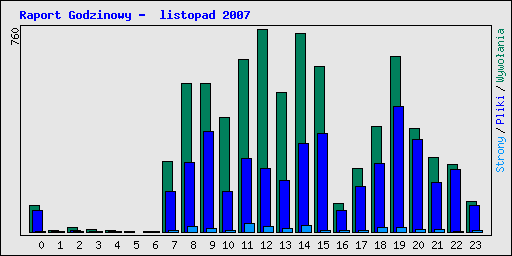 Raport Godzinowy -  listopad 2007