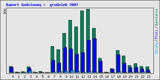 Raport Godzinowy -  grudzie� 2007