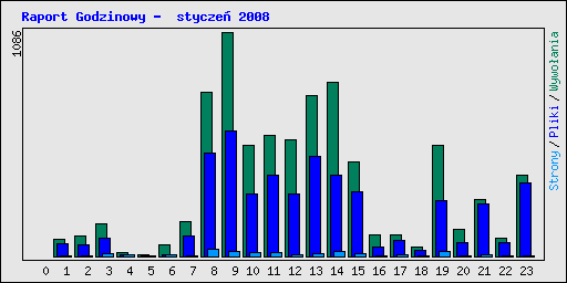 Raport Godzinowy -  stycze� 2008