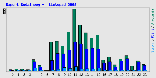 Raport Godzinowy -  listopad 2008
