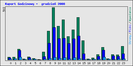Raport Godzinowy -  grudzie� 2008