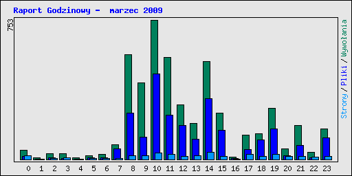 Raport Godzinowy -  marzec 2009