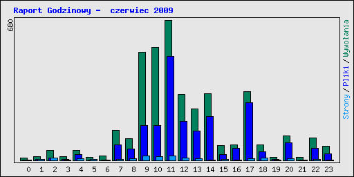 Raport Godzinowy -  czerwiec 2009