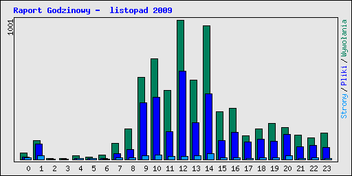 Raport Godzinowy -  listopad 2009