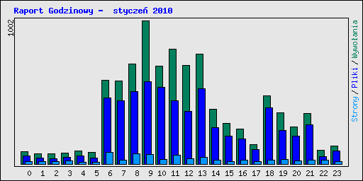 Raport Godzinowy -  stycze� 2010