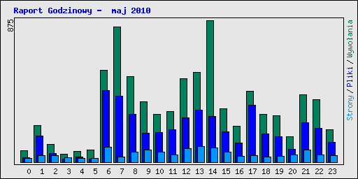Raport Godzinowy -  maj 2010