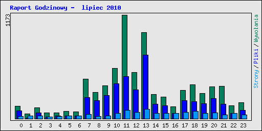 Raport Godzinowy -  lipiec 2010