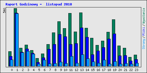Raport Godzinowy -  listopad 2010