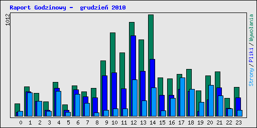 Raport Godzinowy -  grudzie� 2010
