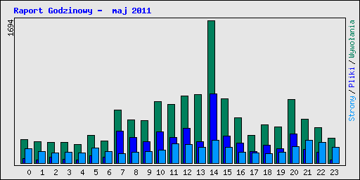 Raport Godzinowy -  maj 2011