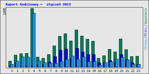 Raport Godzinowy -  stycze� 2012