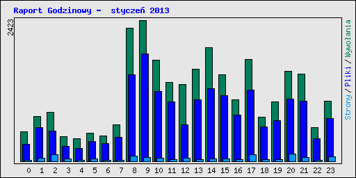 Raport Godzinowy -  stycze� 2013