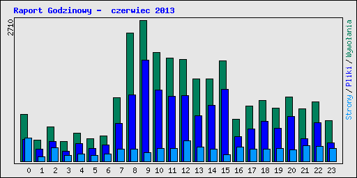 Raport Godzinowy -  czerwiec 2013