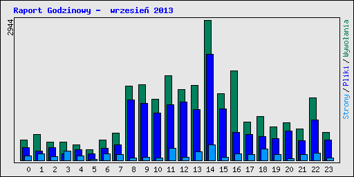 Raport Godzinowy -  wrzesie� 2013