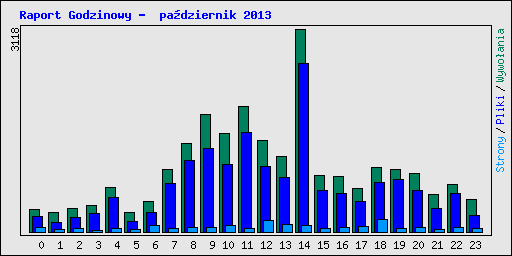 Raport Godzinowy -  pa�dziernik 2013