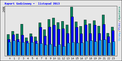 Raport Godzinowy -  listopad 2013