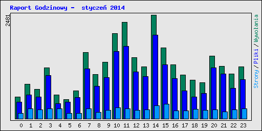 Raport Godzinowy -  stycze� 2014