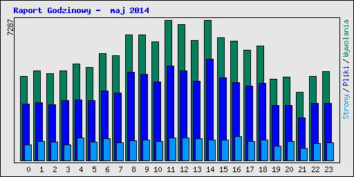 Raport Godzinowy -  maj 2014