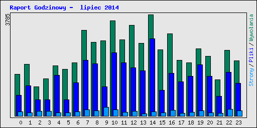 Raport Godzinowy -  lipiec 2014