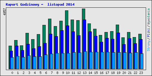 Raport Godzinowy -  listopad 2014