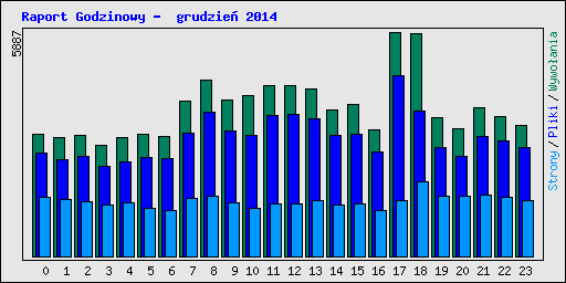 Raport Godzinowy -  grudzie� 2014