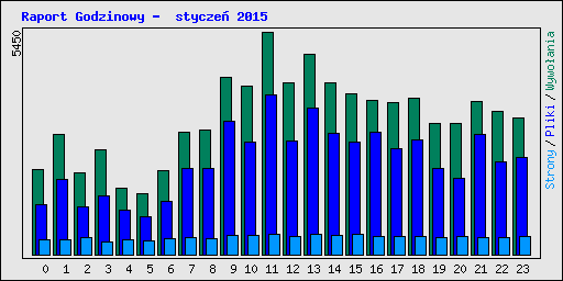 Raport Godzinowy -  stycze� 2015
