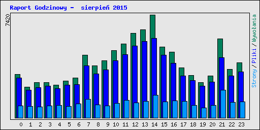 Raport Godzinowy -  sierpie� 2015