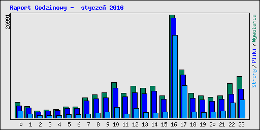 Raport Godzinowy -  stycze� 2016