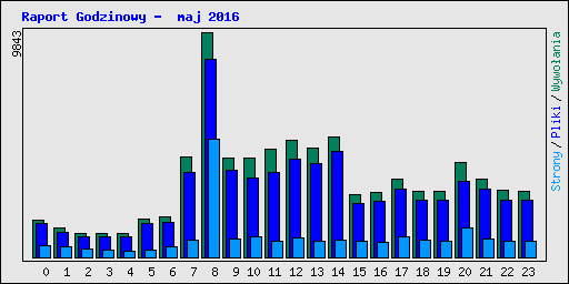 Raport Godzinowy -  maj 2016