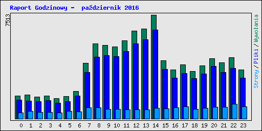 Raport Godzinowy -  pa�dziernik 2016